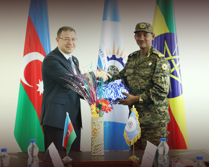 Ethiopian Defence University